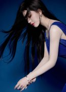 展商业无限公司和恒邦微电子无限公司此前已被